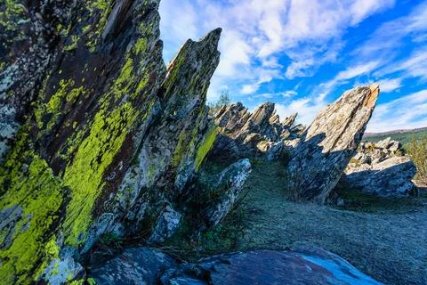 Strange landscape full of tall sharp rocks coming out of the ground in the Foto stock