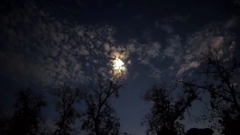 Strange Moon 库存影片 150451474