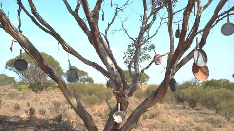 Strange "Pantry or Pan-tree" seen on the highway in South Australia. Stock Footage 106872460