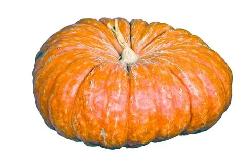 Strange Pumpkin Stock Photos