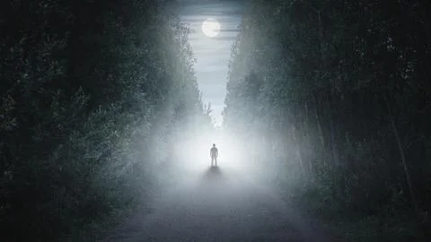 Strange silhouette in a dark spooky forest at night Stock Photos