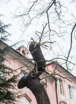 Strange tree with branches, Prague, Czech Republic Stock Photos