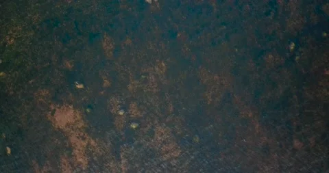 Strange water surface Stock Footage 175382144