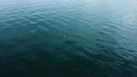 Stranger caught swimming in the middle of the lake Stock Footage 213929575