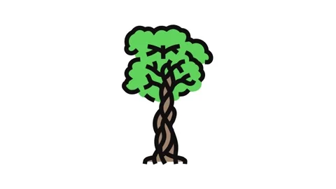Strangler fig jungle amazon color icon animation Stock Footage 326106925