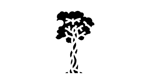 Strangler fig jungle amazon glyph icon animation Stock Footage 326153877