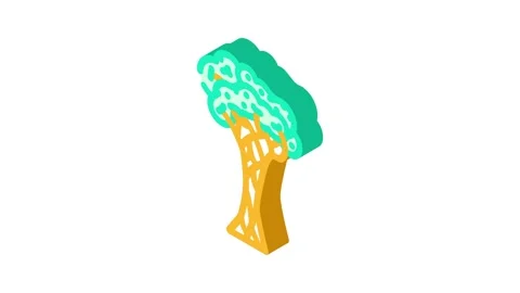 Strangler fig jungle amazon isometric icon animation Stock Footage 327289683