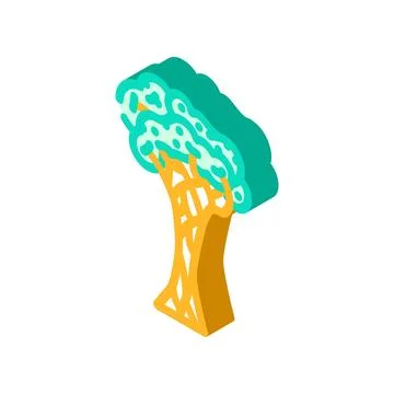 Strangler fig jungle amazon isometric icon vector illustration 스톡 일러스트