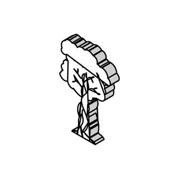 Strangler fig jungle amazon isometric icon vector illustration 스톡 일러스트