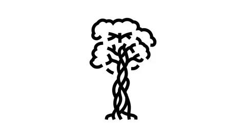Strangler fig jungle amazon line icon animation Stock Footage 326132810