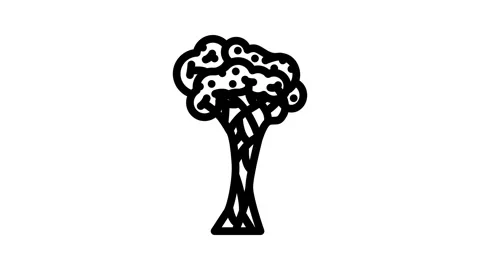 Strangler fig jungle amazon line icon animation Stock Footage 326760031