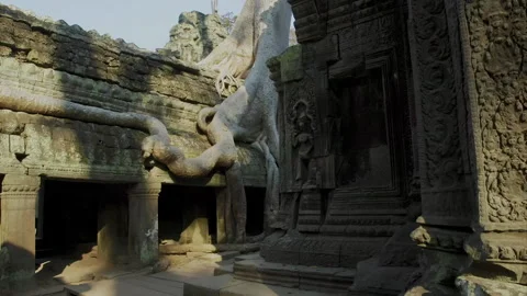Strangler fig tree roots growing over ancient temple ruins in Cambodia Vídeo Stock 331948720