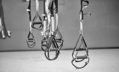 Straps training loop equipment. Black functional training equipment on grey b Stock Photos