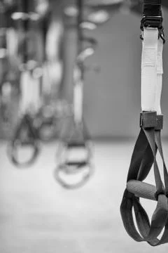 Straps training loop equipment. Black functional training equipment on grey b Stock Photos