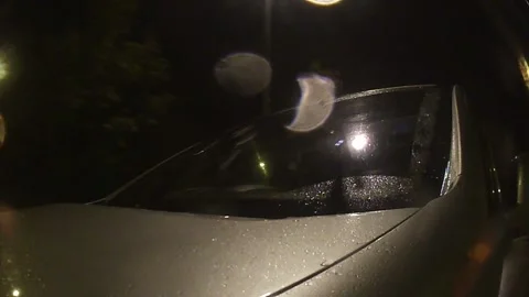 Strasbourg Night Drive - Low Angle Rigged car shot with dynamic urban motion - 2 Stock Footage 319256672