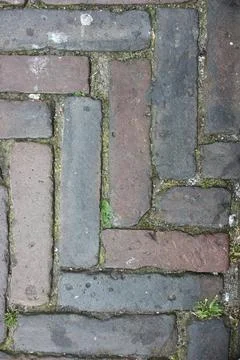 Straßenpflaster With rectangular colored stones laid pavement Mit rechteck.. Foto stock