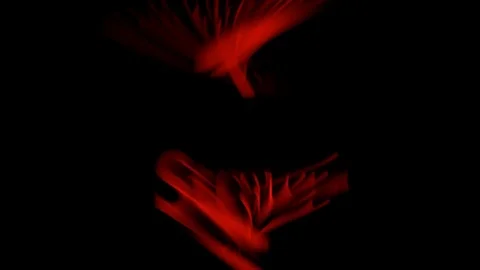 Strategic Management animation with streaking text and motion blur Stock Footage 75429443