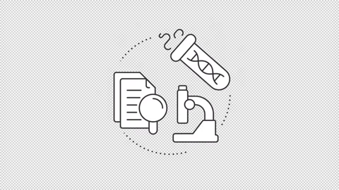 Strategic product evolution stages animated line concept icon set 库存影片 345259593