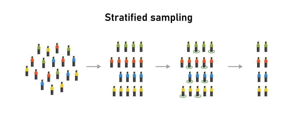 Stratified random sampling statistical method statistics techniques Stock Illustration