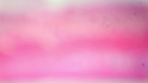 Stratified squamous epithelium under the microscope Stock Footage 47088157