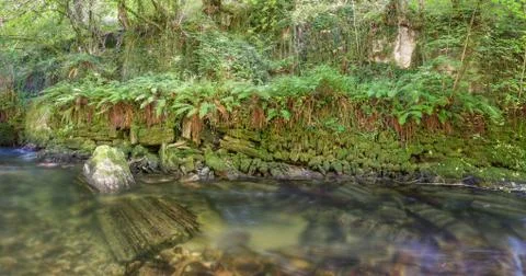 Stratiform formations in fallen rocks in a river Stock Photos