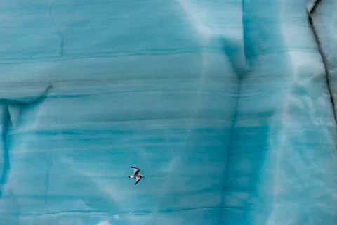 Stratums in ice wall Stock Photos