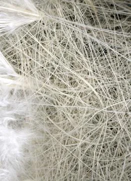 Straw and feather Stock Photos