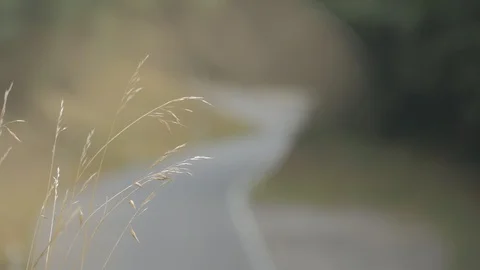 Straw and road Stock Footage