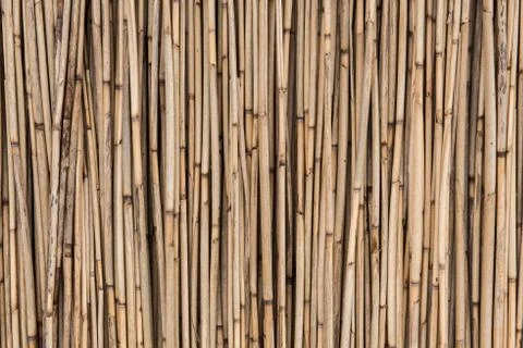 Straw background, bamboo wall texture Stock Photos