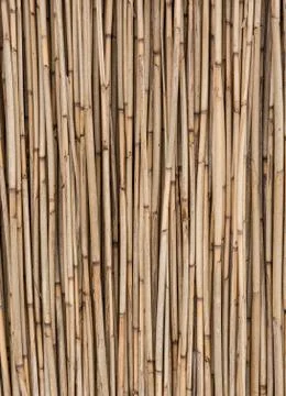 Straw background, bamboo wall texture Stock Photos