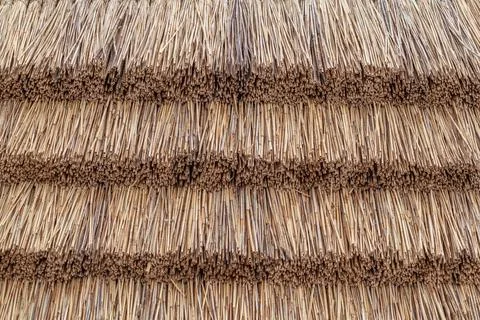 Straw background, dry grass texture. Selective focus. High quality photo Stock Photos