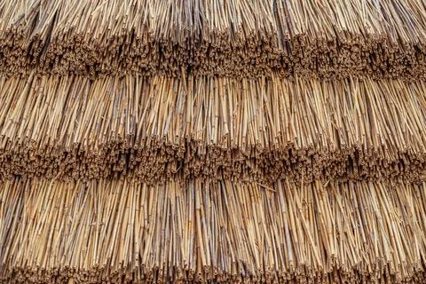Straw background, dry grass texture. Selective focus. High quality photo Stock Photos