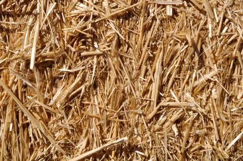 Straw background Foto stock