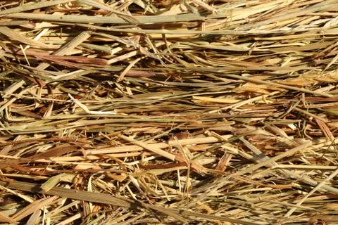 Straw background Stock Photos