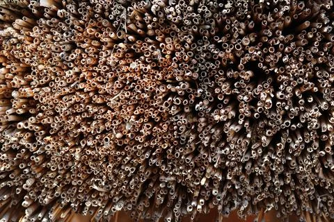 Straw background Stock Photos