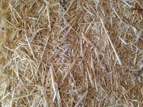 Straw Background Texture Stock Photos