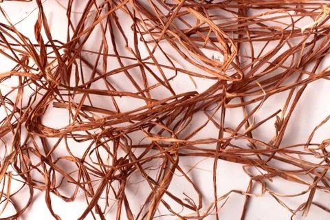 Straw background texture on white scattered Stock Photos