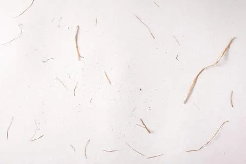 Straw background texture on white scattered Stock Photos