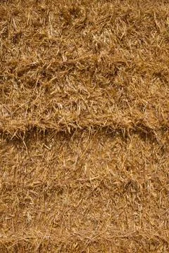 Straw bale background Stock Photos