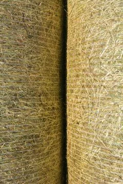 Straw bale background Foto stock