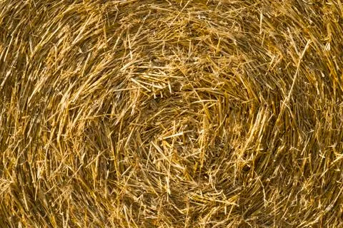 Straw bale background Stock Photos