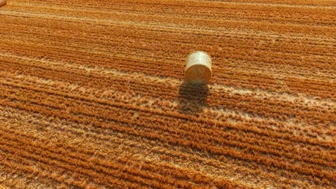 Straw bale close up across harvested crop stubble with textured field surface Stock Footage 340553818