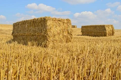 Straw bale drying in the sun Stock Photos