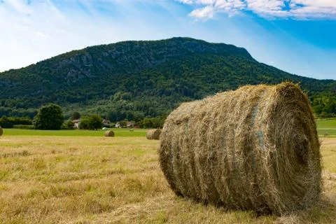 Straw bale in the field, the mountain in the background Foto stock