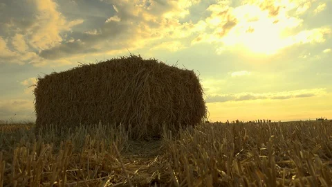 Straw bale field sun Stock Footage 92745734