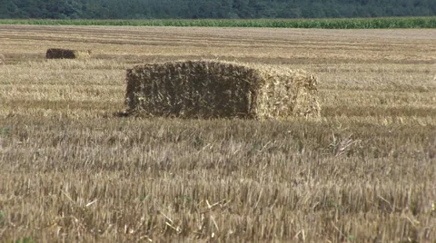 Straw bale in field zoom out Video stock 59120936