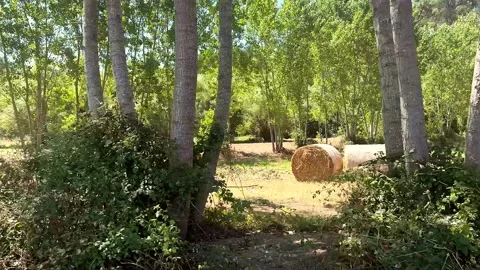Straw bale Stock Footage 279422039