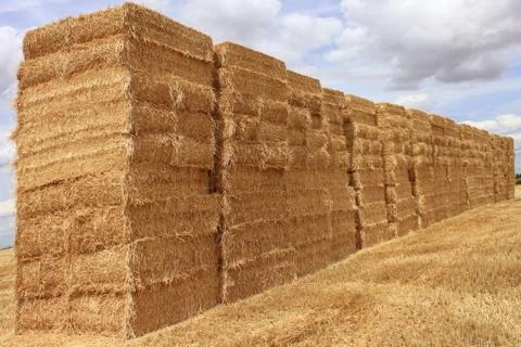Straw bale Stock Photos