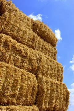 Straw bale Stock Photos