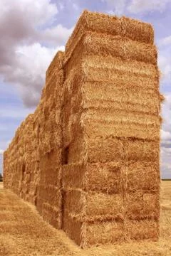 Straw bale Stock Photos